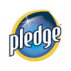 Pledge