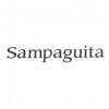 Sampaguita