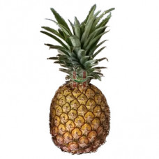 Pinya (Pineapple)