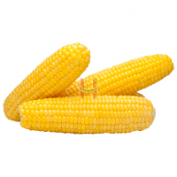 Mais (Sweet Corn)