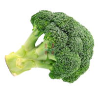Brokuli (Broccoli)