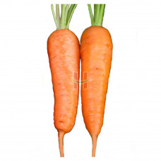 Karrot (Carrot)