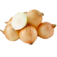 Sibuyas Puti (White Onion)