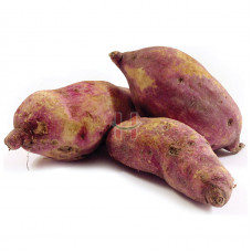 Kamote (Sweet Potato)