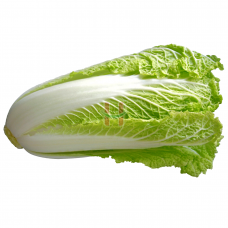 Pechay Baguio (Chinese Cabbage)