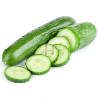 Pipino (Cucumber)