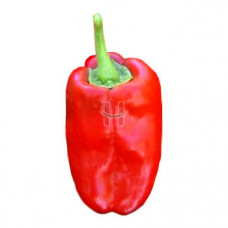 Bell Pepper Red
