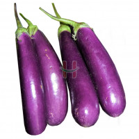 Talong (Eggplant)