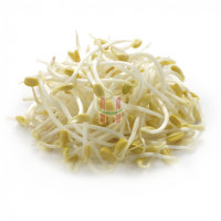 Toge (Bean Sprout)