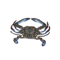 Alimasag (Blue Swimmer Crab) Small