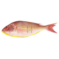 Bisugo (Threadfin Bream) Assorted Size