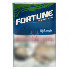 Fortune Mint Splash Fliptop 20s