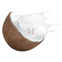 Fresh Coconut Milk
