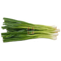 Dahon Ng Sibuyas (Spring Onion)