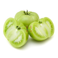 Berdeng Kamatis (Green Tomato)