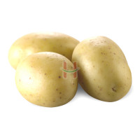 Patatas (Potato)